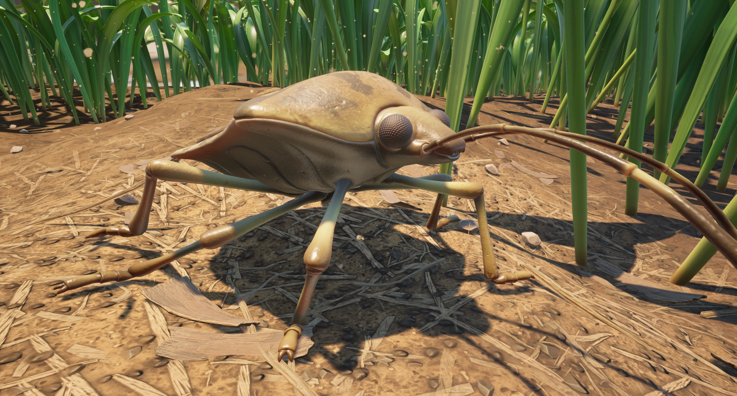 Stinkbug.png