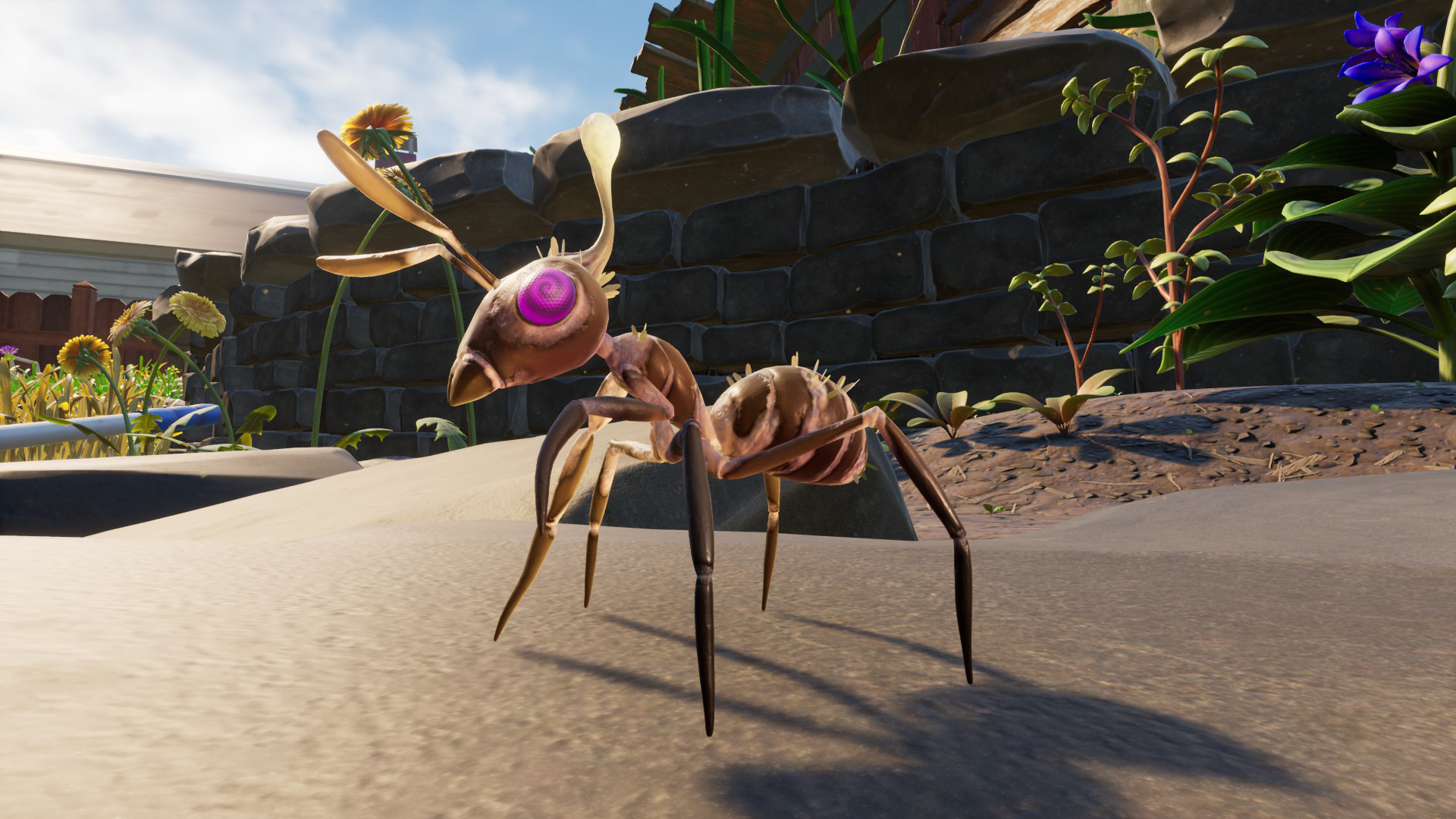 Infected Ant.png