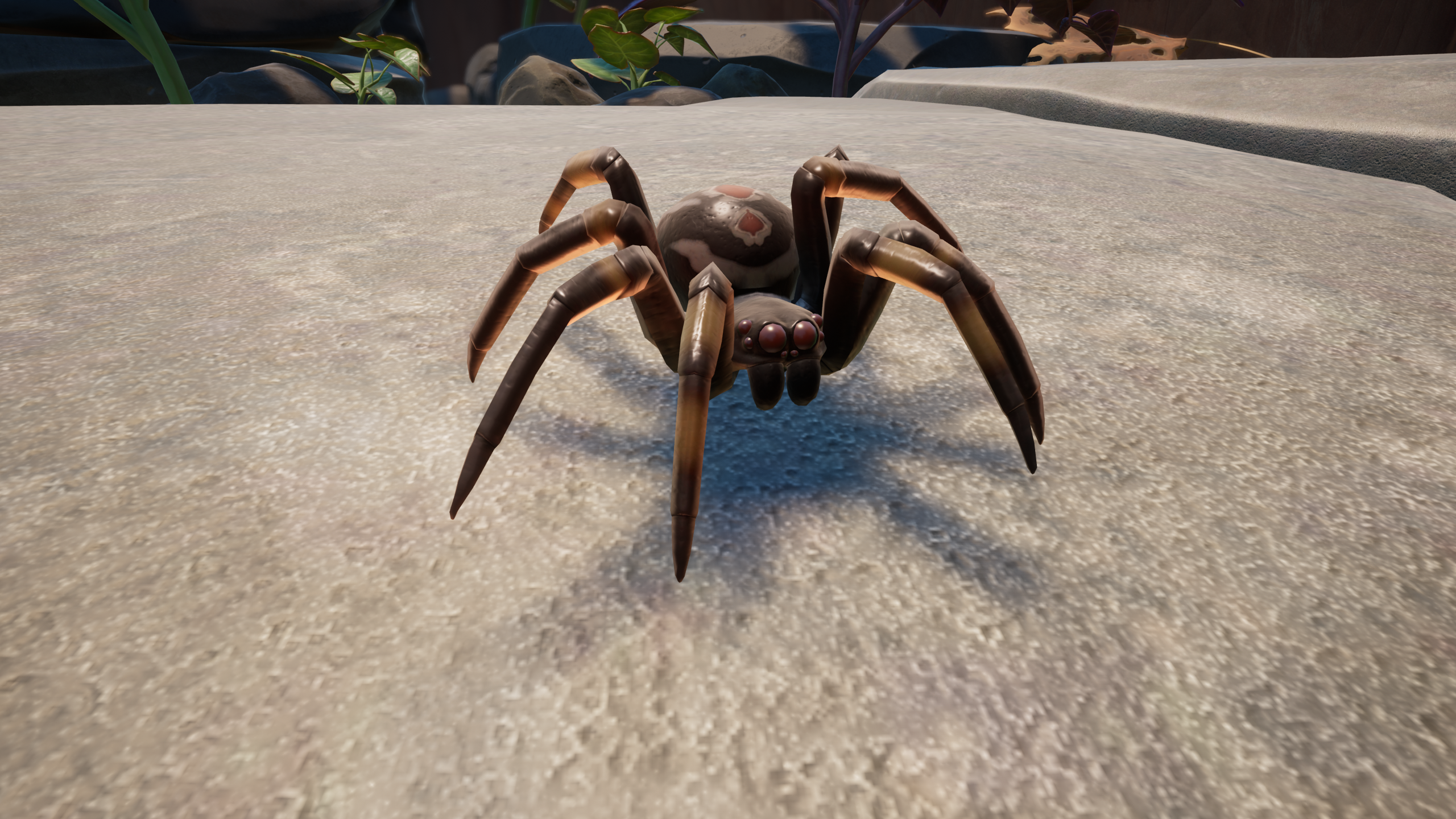 Black Widowling.png