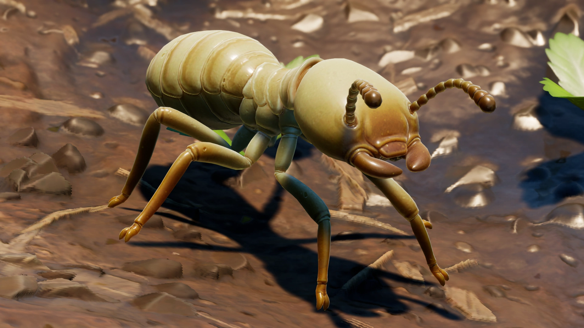 Termite.png