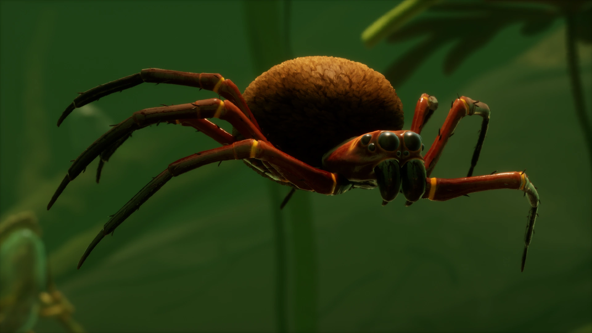 Diving Bell Spider.png