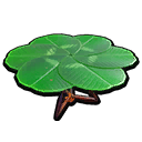 Clover Table.png