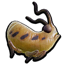 Aphid Roast.png