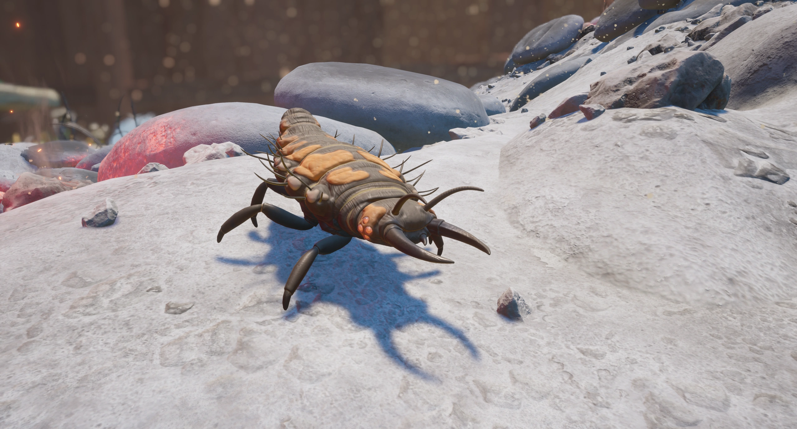 Ladybird Larva.png