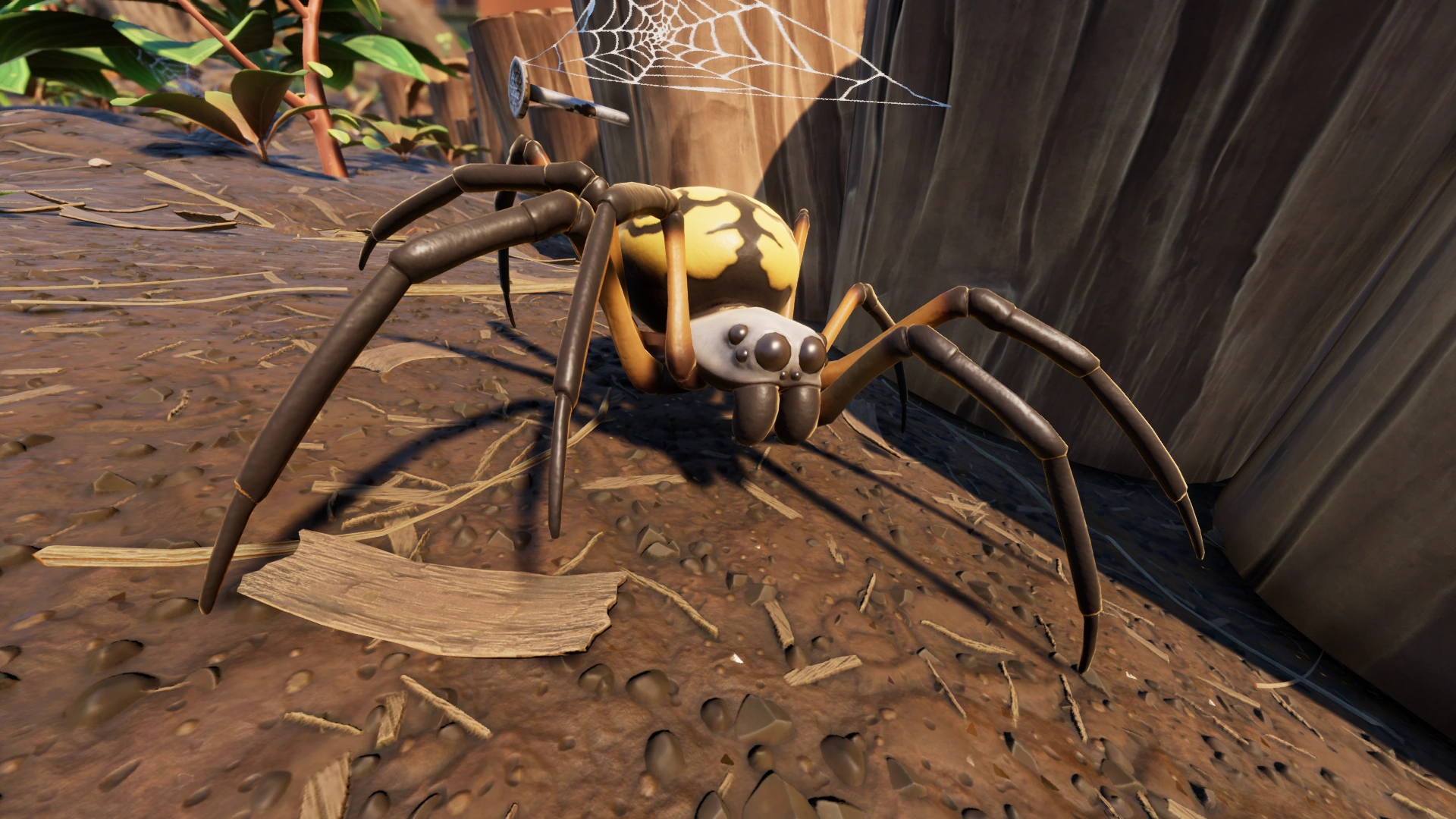 Orb Weaver.png