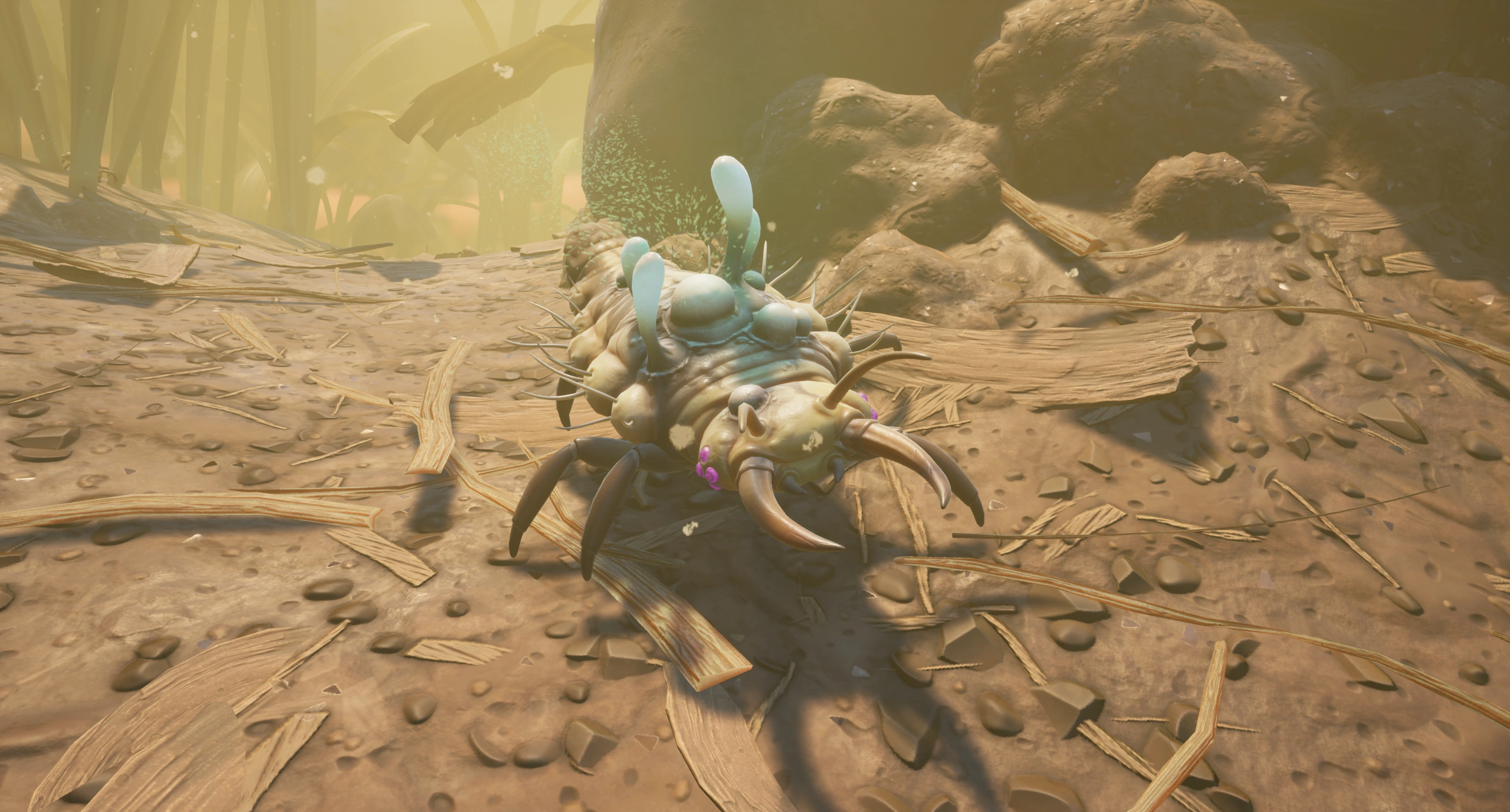 Infected Larva.png
