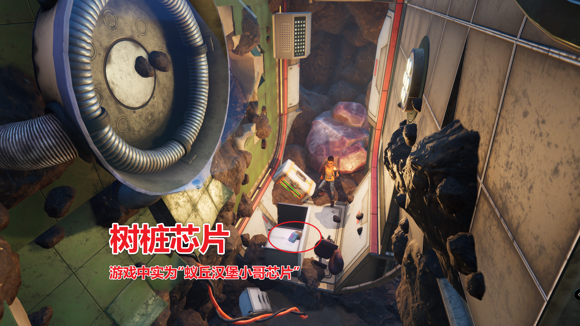 树桩芯片 图解.png