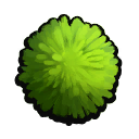 Algae.png