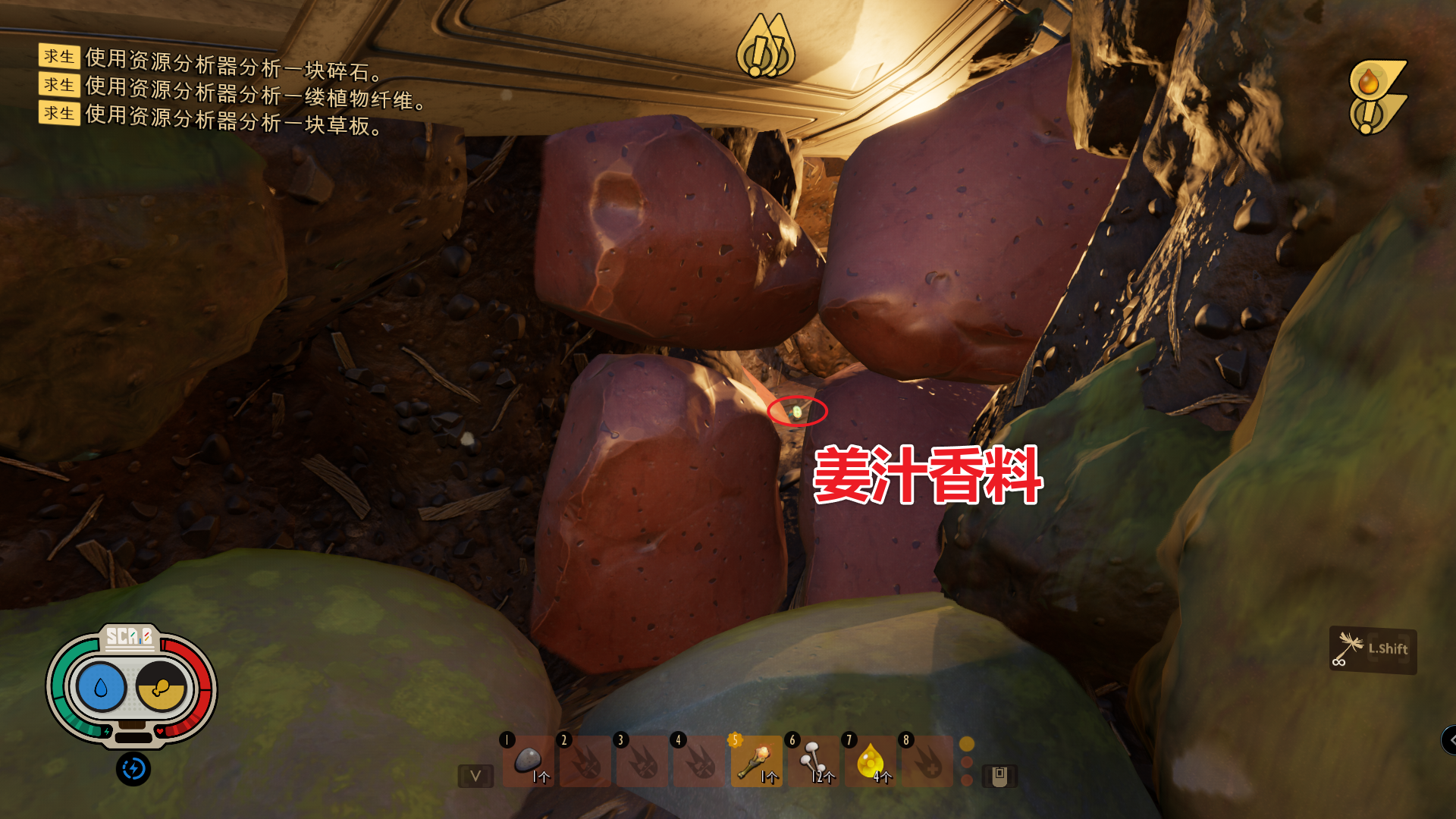 姜汁香料 图解.png