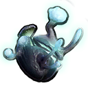Fungal Growth.png