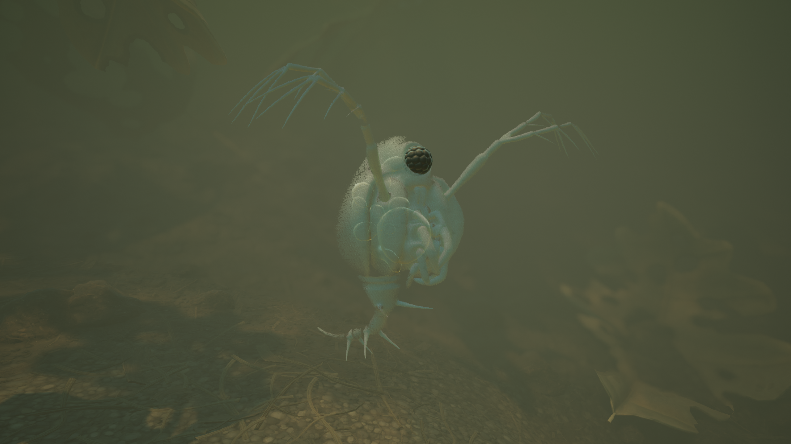 Spiny Water Flea.png