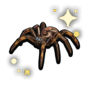 Wittle Widowling.png