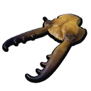 Antlion Pincer.png