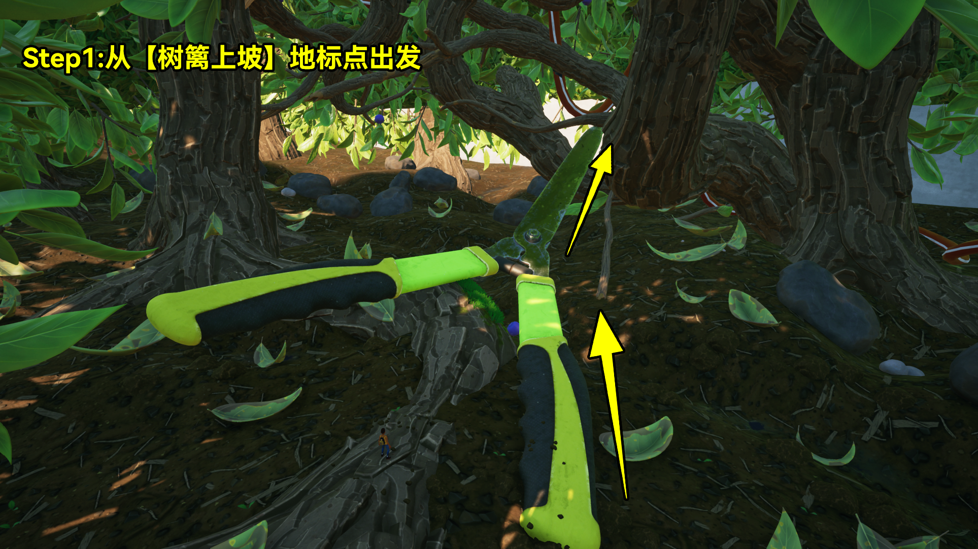 树篱区探索图解 (1).png