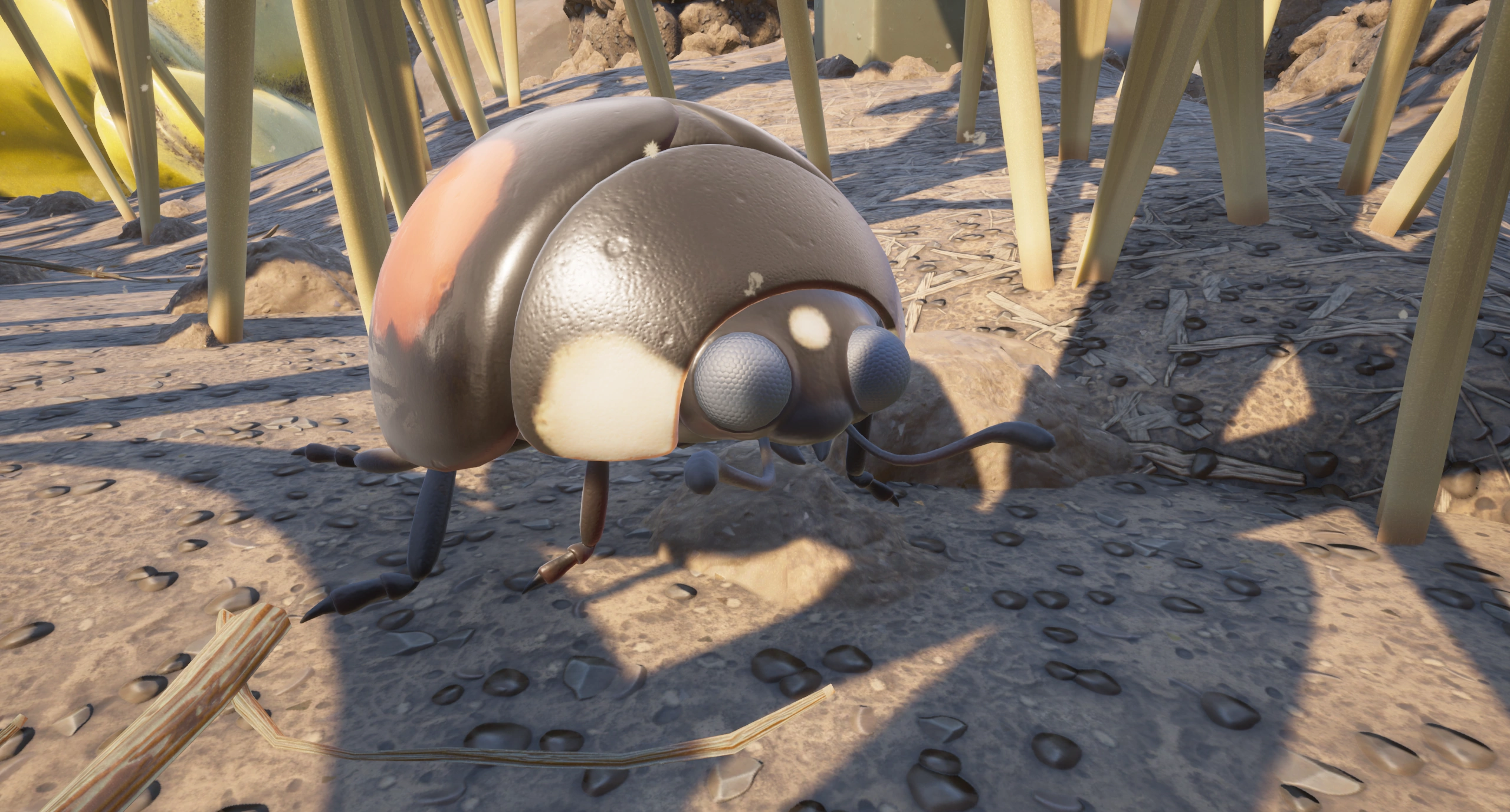 Ladybird.png