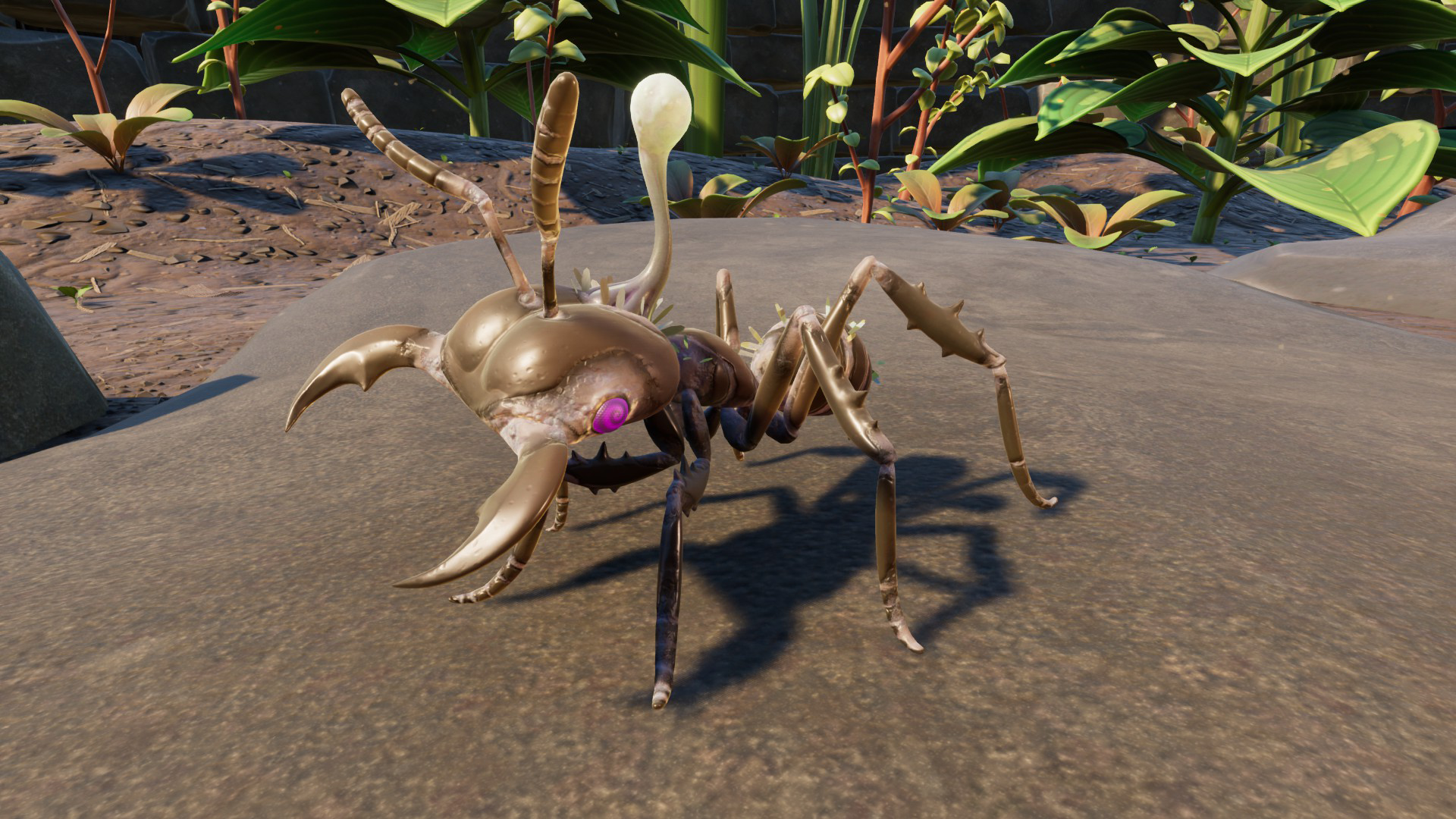 Infected Soldier Ant.png