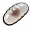 Black Ant Egg.png