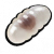 Red Ant Egg.png