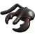 Black Ant Mandibles.png