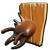 Termite King Mount.png