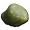 Spoiled Meat.png