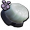 Raw Gnat Meat.png