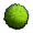 Algae.png