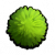 Algae.png