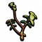 硬壳草.png