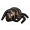 Infected Ant Part.png