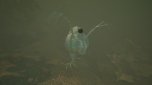 Spiny Water Flea.png