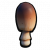 ICO Fungus Cap A.png
