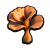 ICO Coral Fungus B.png