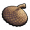 Acorn Top.png