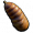 Pupa Hide.png