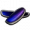 Iridescent Scale.png