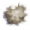 Dust Mite Fuzz.png