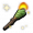 火炬+.png