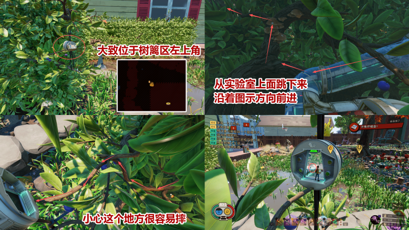 文件:育母蜘蛛研究笔记 图解.png