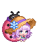 热带雪花诺艾尔