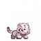 小白虎康儿