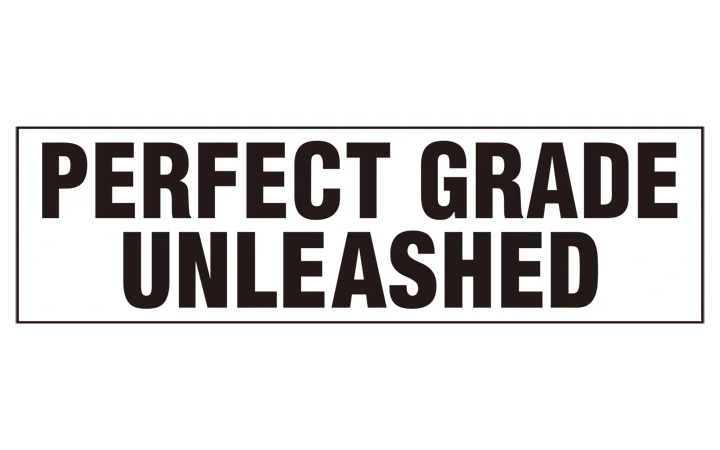 文件:PGU Logo 720x450.jpg