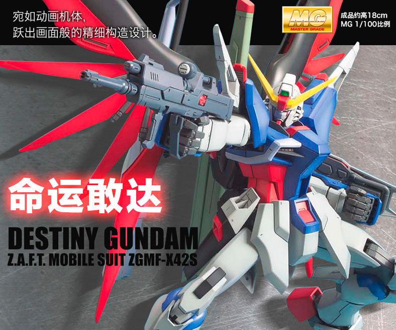 Mg101图解1.jpg