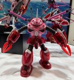 HGCE ZGok SEED FREEDOM Ver Clear Color Expo 1.jpg
