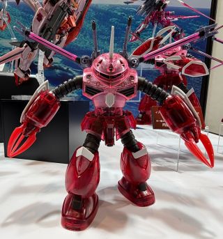 HGCE ZGok SEED FREEDOM Ver Clear Color Expo 1.jpg