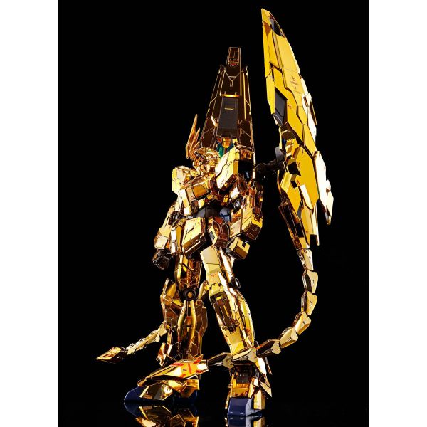 文件:RG Phenex NT Ver official 8.jpg