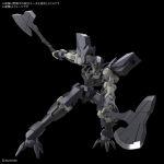 FM Graze Ein official 2.jpg