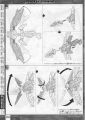 2020年2月12日 (三) 16:37版本的缩略图
