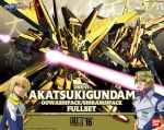 1 100 Akatsuki Gundam Oowashi Pack Shiranui Pack Full Set Boxart.jpg