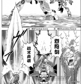 战术兵装 灿阳剑.jpg
